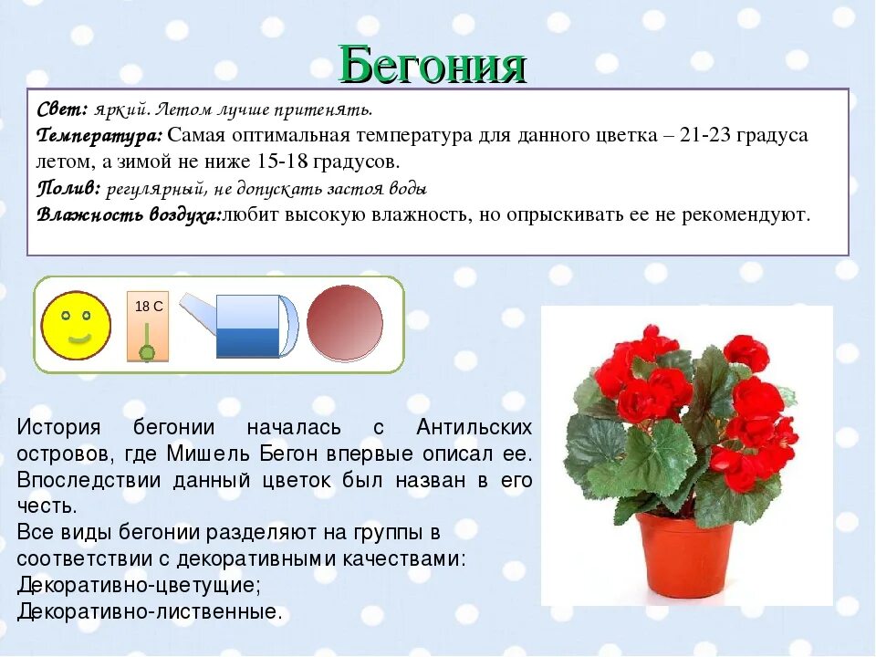 Маркировка цветов в доу