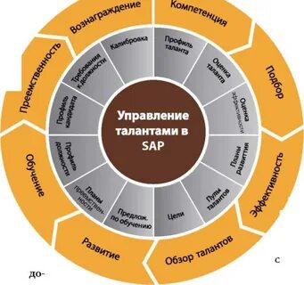 Цикл оценки