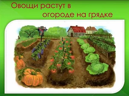 Родная грядка