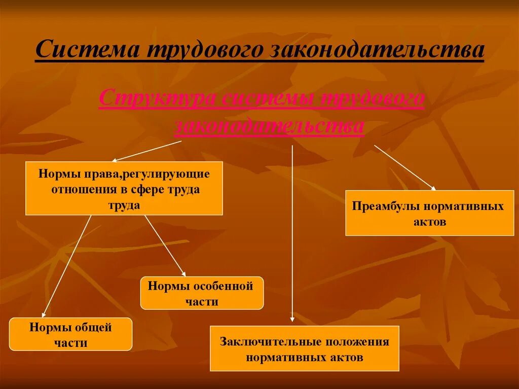 Система трудового законодательства. Структура трудового законодательства.