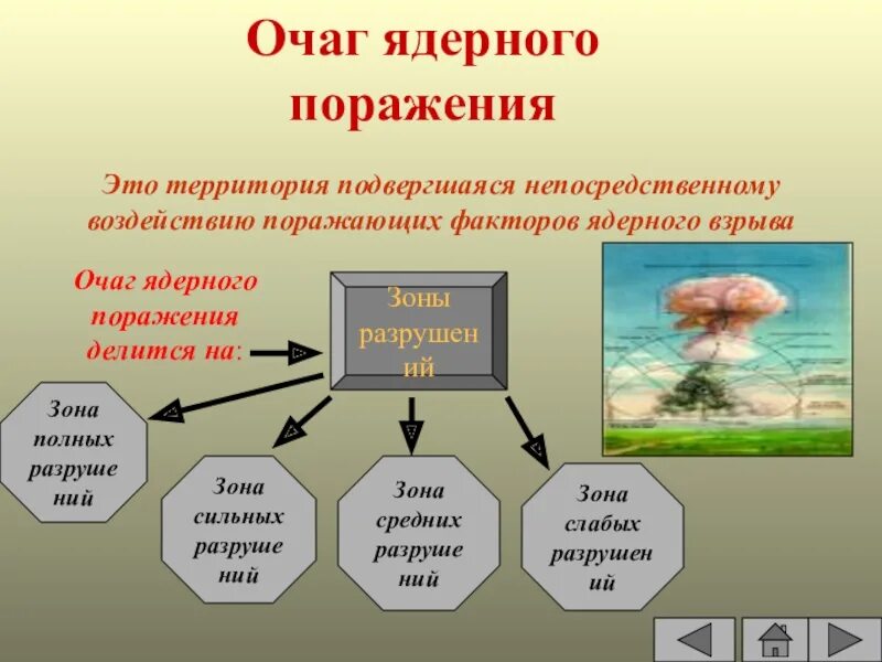 Структура очагов поражения