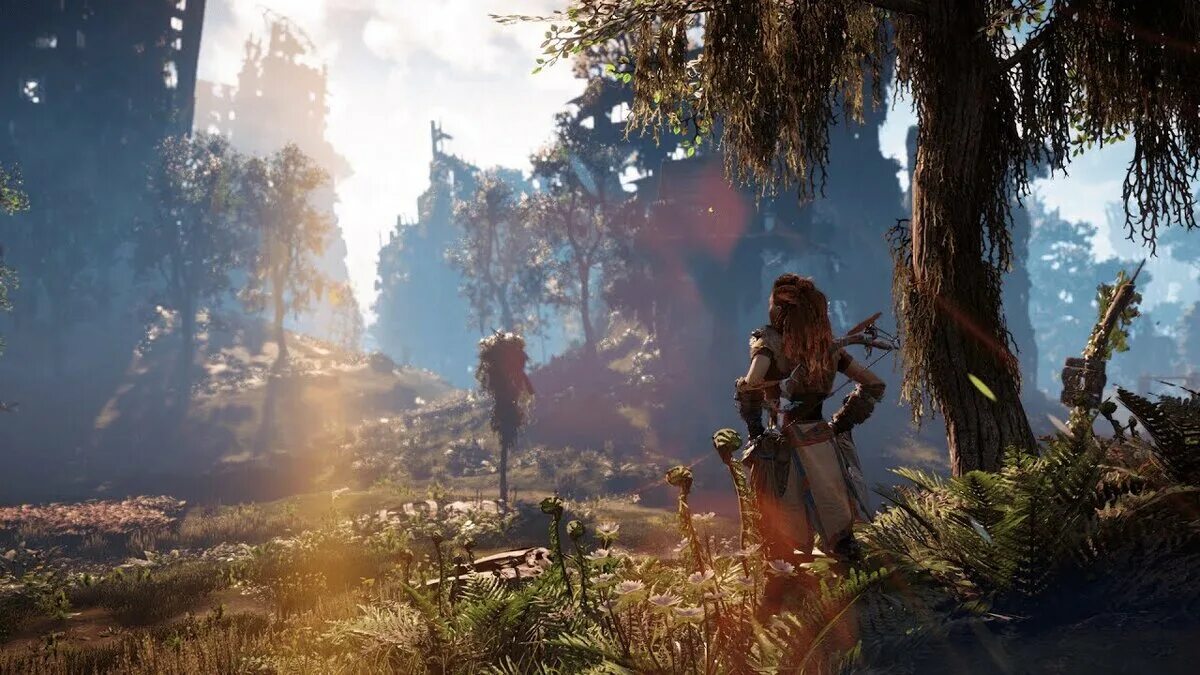 Хорайзен длс. Horizon Zero Dawn. Хоризон 2. Харайзон Зира Дон.