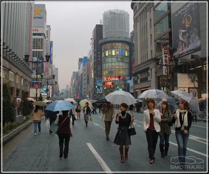 Япония сколько времени. Климат Токио. Токио улицы города в дождь. Дождливый день в Токио. Япония Токио дождь.