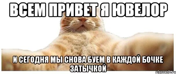 В каждом затычка. В каждой бочке затычка картинка. в каждой бочке затычка мем. поговорка в каждой бочке затычка. в каждой бочке затычка рисунок.
