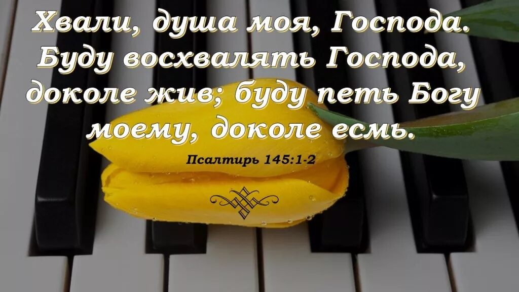 Текст песни спасибо господь что я. Славьте Бога Славьте в песнопеньях. Прославление Бога из Библии. Стихи в Библии про поклонение Богу. Славьте Бога Славьте в песнопеньях Библия.