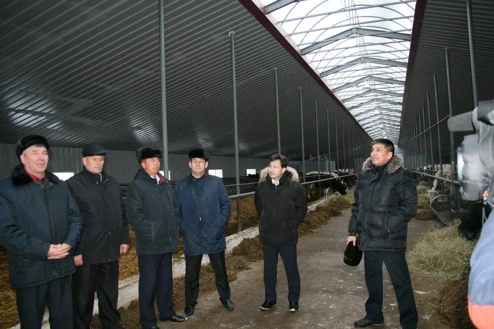 Погода ново казанковка. Казнаковка. Кумертау казанковка. Казнаковка. Погода ново казанковка.