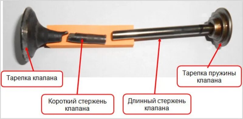 Клапан автомобиля. Стержень клапана. Стержень клапана двигателя. Выпускной клапан ДВС. Клапаны в двигателе автомобиля