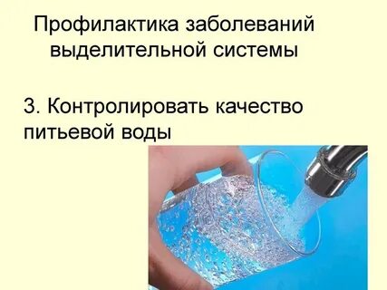 Профилактика выделительной системы
