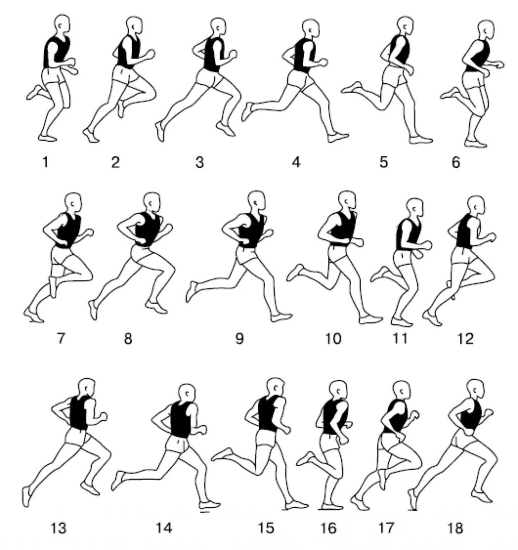 Лишние движения человека. Бег на длинные дистанции техника бега. Техника бега на длинные дистанции 2000м. Техника выполнения бега на длинные дистанции. Легкая атлетика бег на длинные дистанции.
