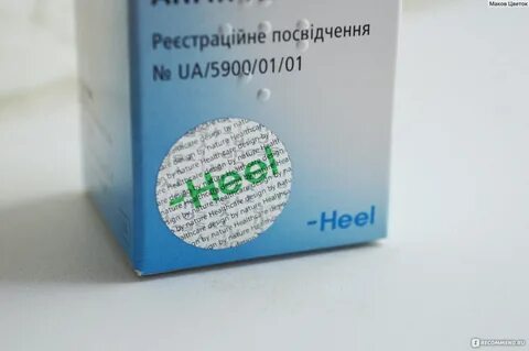 Ангин хель