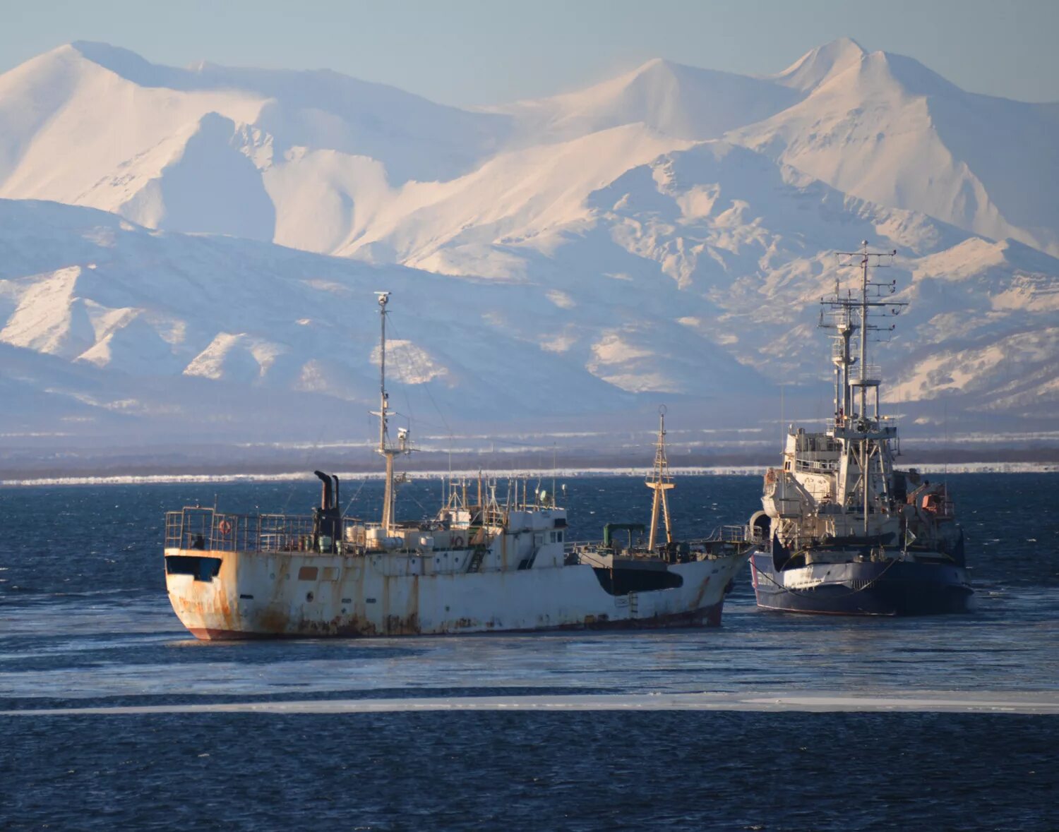 Траулер сейнер ленинец. Морской буксир камчатка. Траулер-сейнер «василий каплюк». Судно камчатка. Камчатка авачинская бухта паллада.