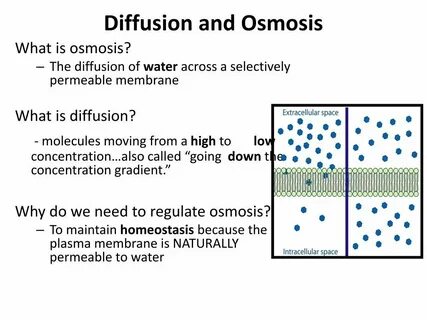 Stable diffusion code 1