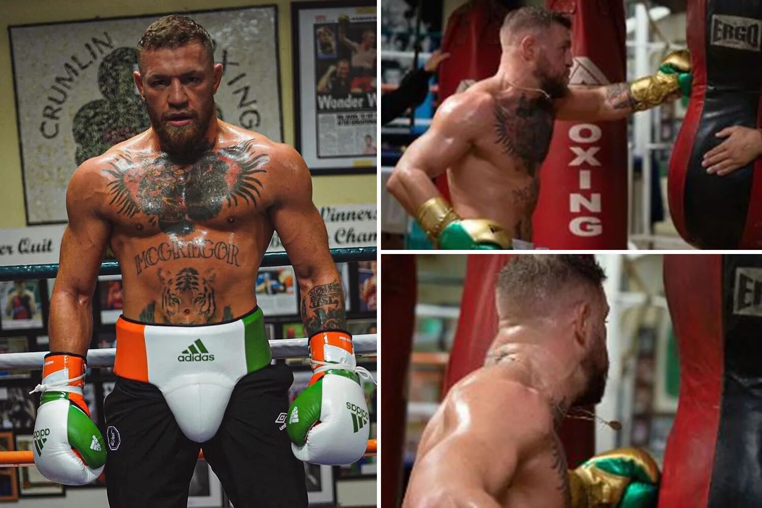 Шоу макгрегора. Conor mcgregor 2025. конор макгрегор трансформация. трансформация макгрегора. mcgregor body transformation.