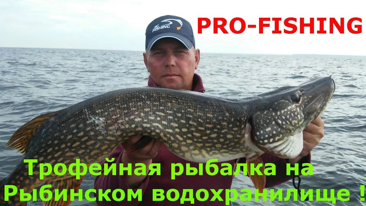 стрит фишинг вологда. фишинг рыбинск. стрит фишинг великий новгород. фишинг рыбинск. катер для рыбалки.