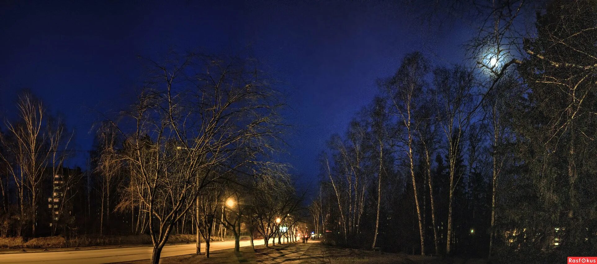 Апрельская ночь картинки красивые. Ночной Академгородок. Ночной Академгородок зима Новосибирск. Вечером Академгородок Новосибирск.