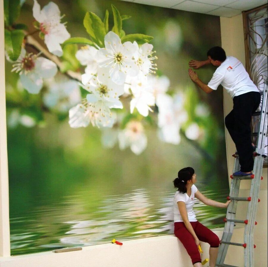 На что клеить фотообои на стену. Как клеить фотообои. На что клеить фотообои на стену. Как клеить фотообои. Как правильно клеить фотообои на стену.