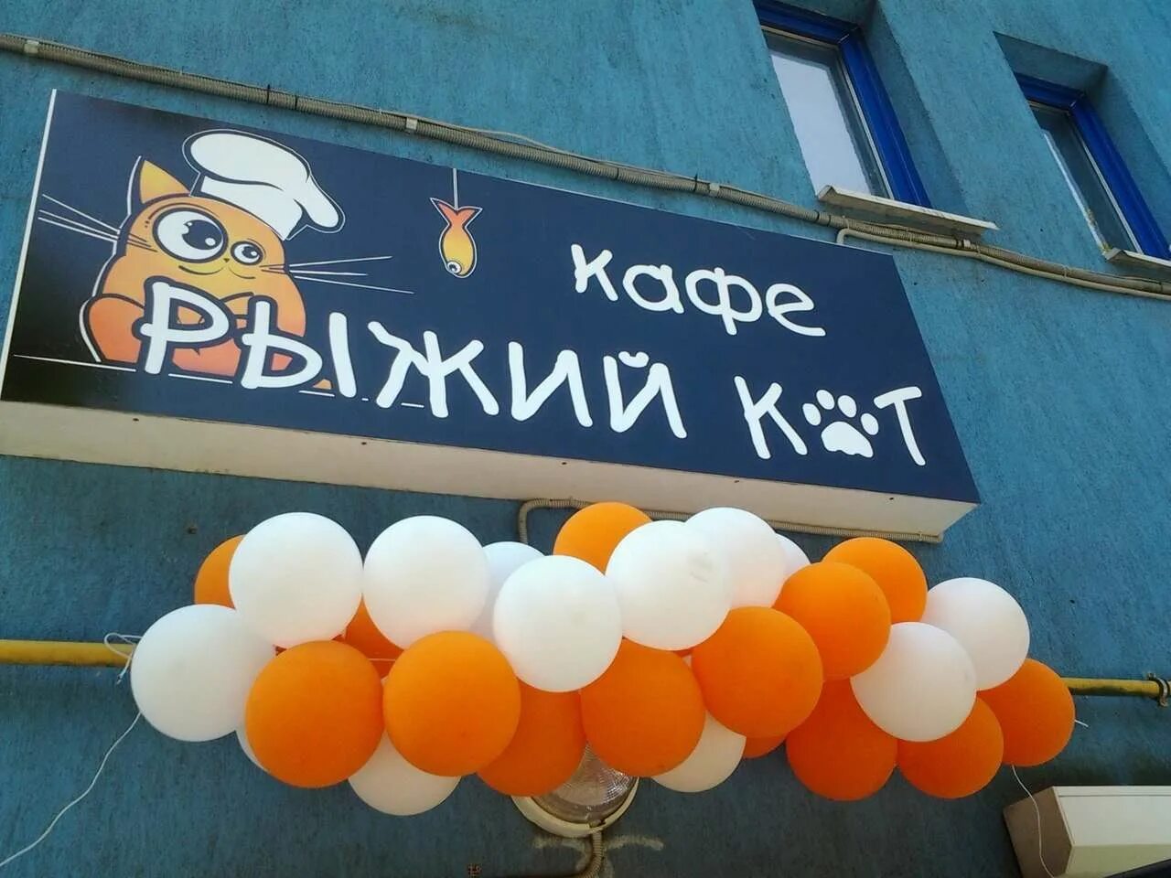 Кафе рыжий кот. Кафе рыжий кот калининград. семейное кафе рыжий кот. пиццерия рыжий кот тайшет.