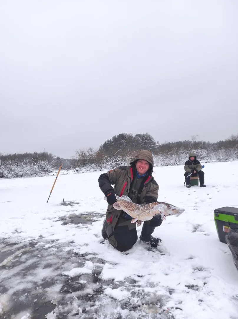 Ловля на рыбинском. Мякса Рыбинское водохранилище. Пушма Рыбинское водохранилище. Рыбалка на Рыбинке. Рыбалка в декабре.