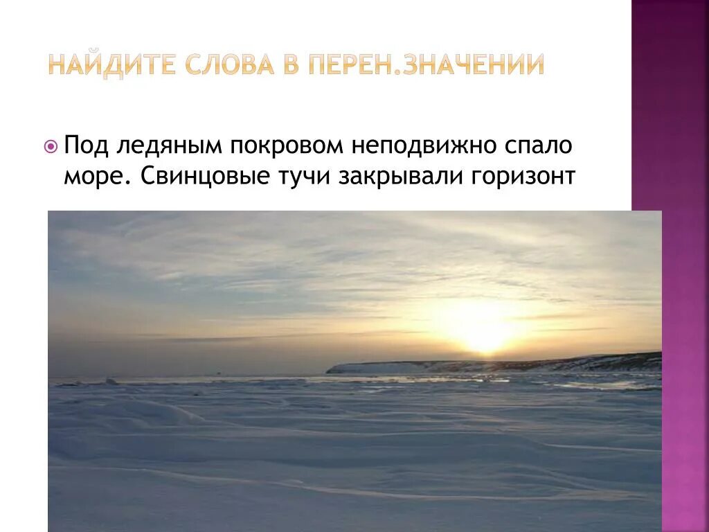 Туча. Лексическое богатство русского языка. Что значит свинцовые тучи. Свинцовые тучи фото. Дуб метафора.