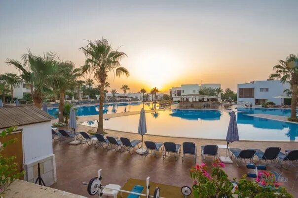 Uni sharm 3. Uni sharm 3 египет шарм-эль-шейх. уни шарм отель египет. uni sharm aqua park 3* (хадаба). verginia sharm resort &amp; aqua park. 4* (хадаба).
