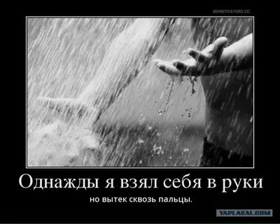 Дождя нет можно идти дальше