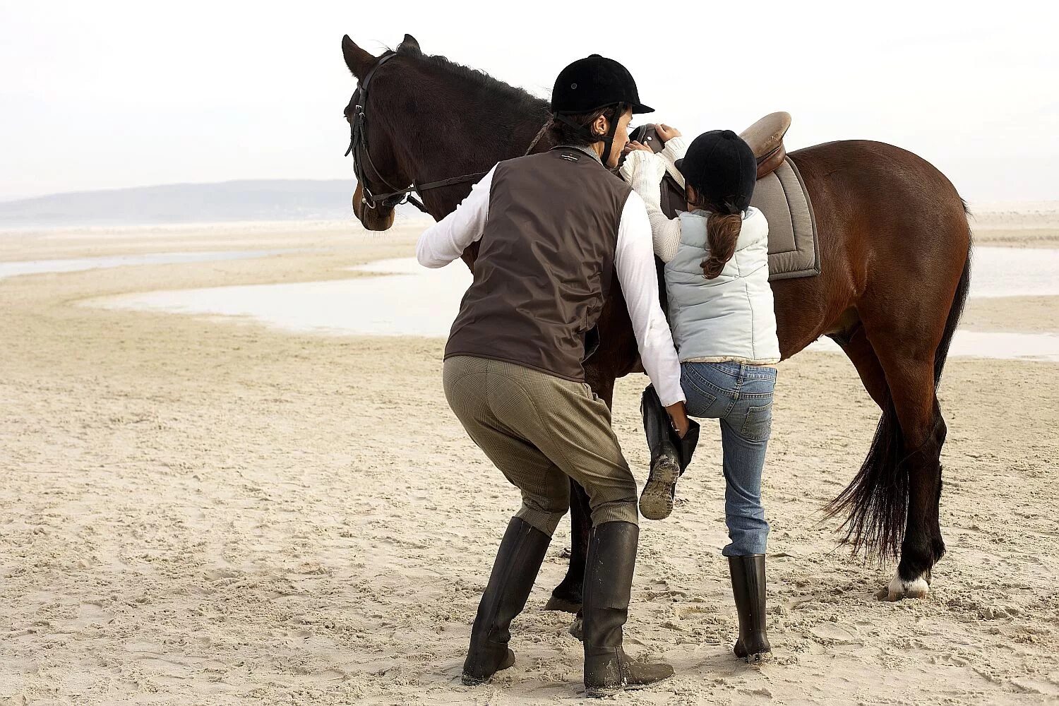 Кот на лошади. Лошадь why. Лошади которых ловят несколько людей. The Rider sits on the Horse.