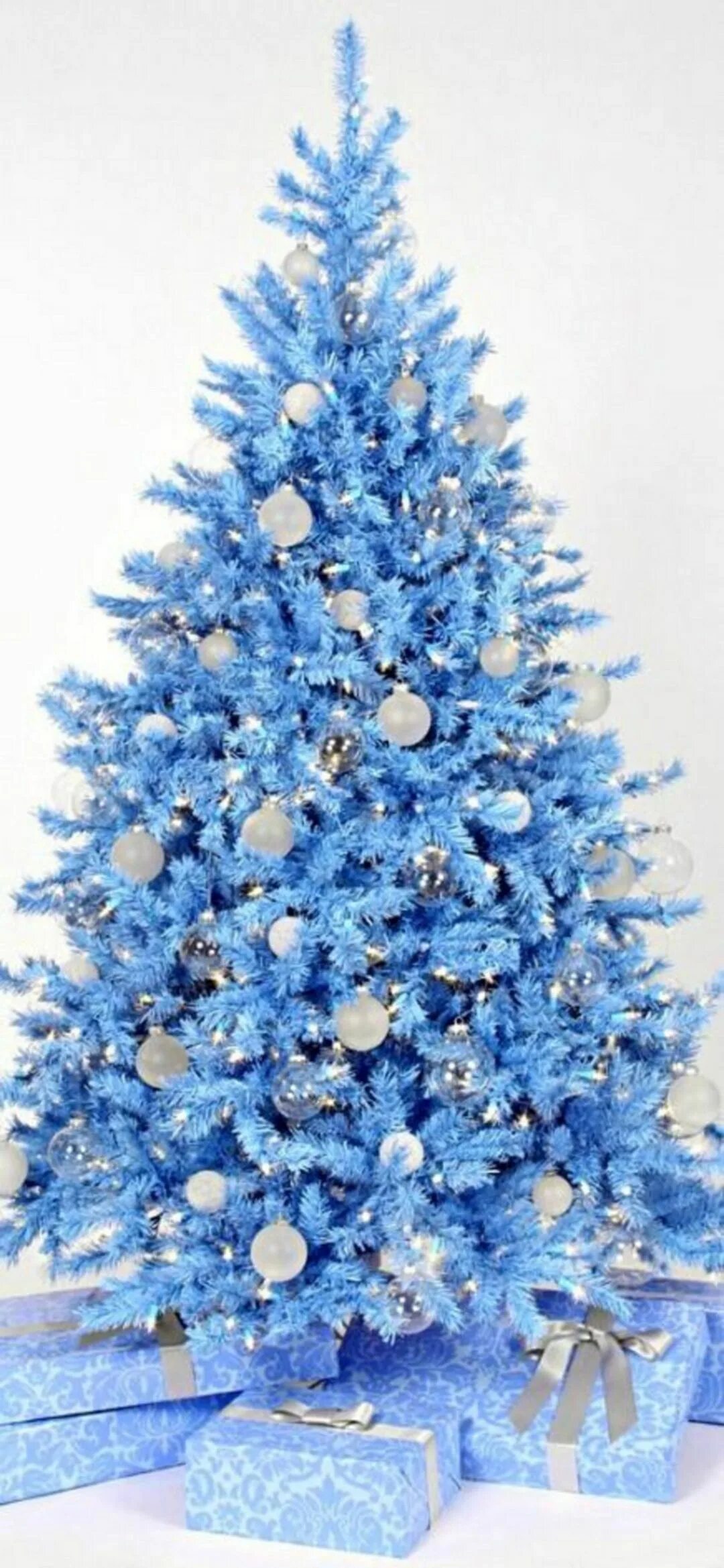 Ель Кристмас Блю. Новогодняя елка в голубых тонах. Бело синяя елка. Бело голубая елка.