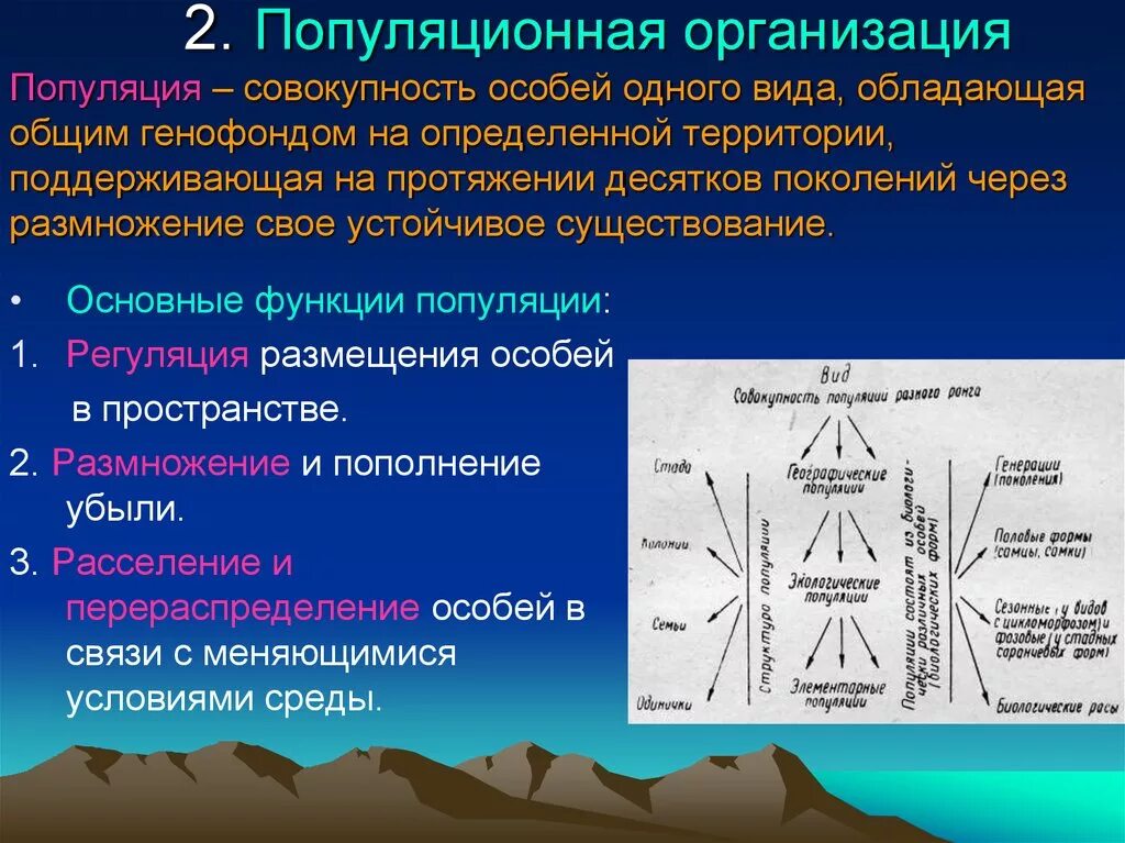 Популяция человека процессы