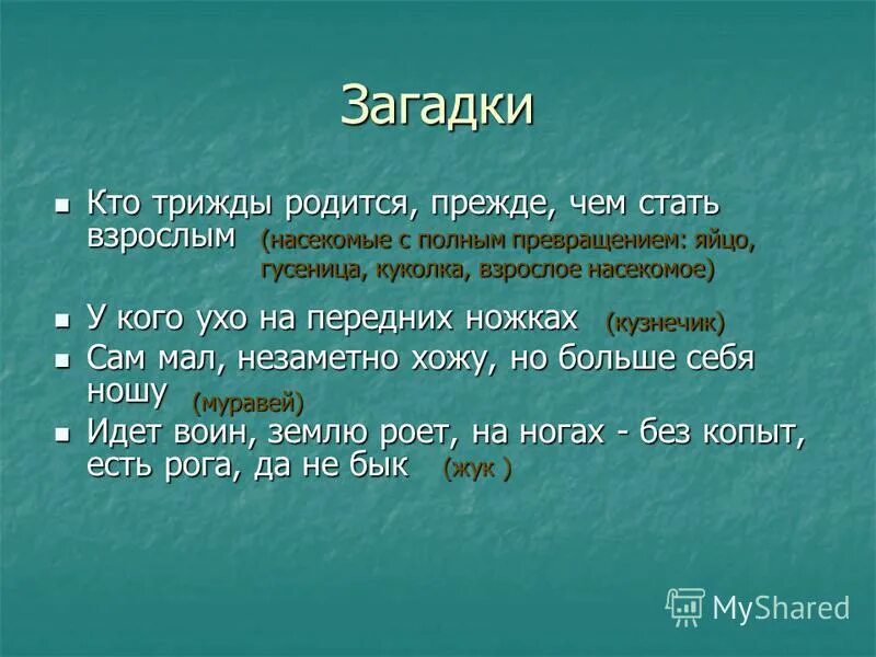 Три раза родился. Кто трижды родится прежде чем стать. Кто три раза родится. Кто трижды родится чтобы стать взрослым. Кто трижды родится прежде чем стать взрослым ответ.