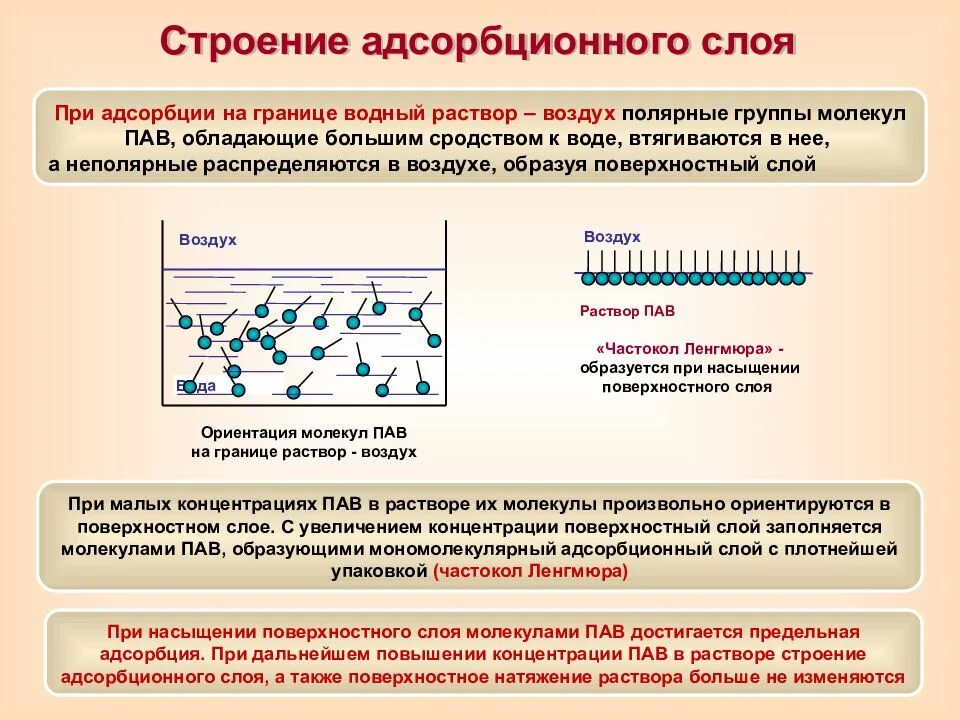 Водный раствор пав. Строение адсорбционных слоев. Ориентация молекул пав. Адсорбционный слой пав. Строение и свойства адсорбционных слоев.