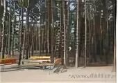 Д красные орлы