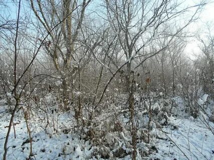 Февраль 59 года
