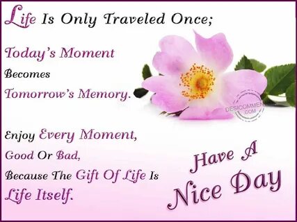 Nice is and happy she