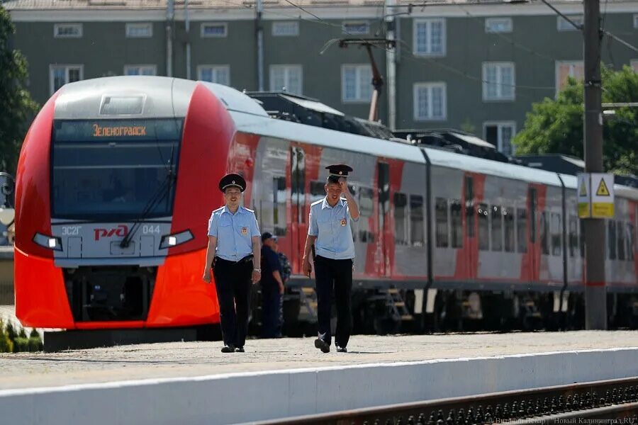 Электричка южный вокзал зеленоградск расписание сегодня. Ласточка Светлогорск. Электричка Калининград Светлогорск. Ласточка Калининград Зеленоградск. Поезд Ласточка Калининград.