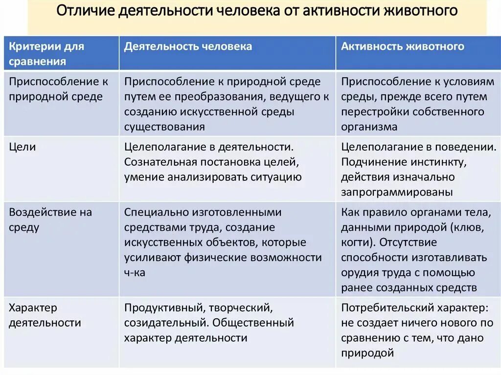 Различие деятельности человека и животных. Отличие деятельности человека от активности животных. Деятельность человека и активность животного. Сравнение деятельности человека и животного. Отличие деятельности человека от деятельности животных.