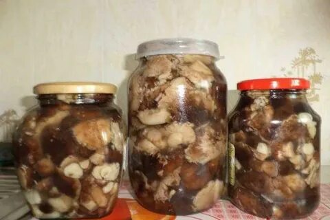 Маринованные рядовки
