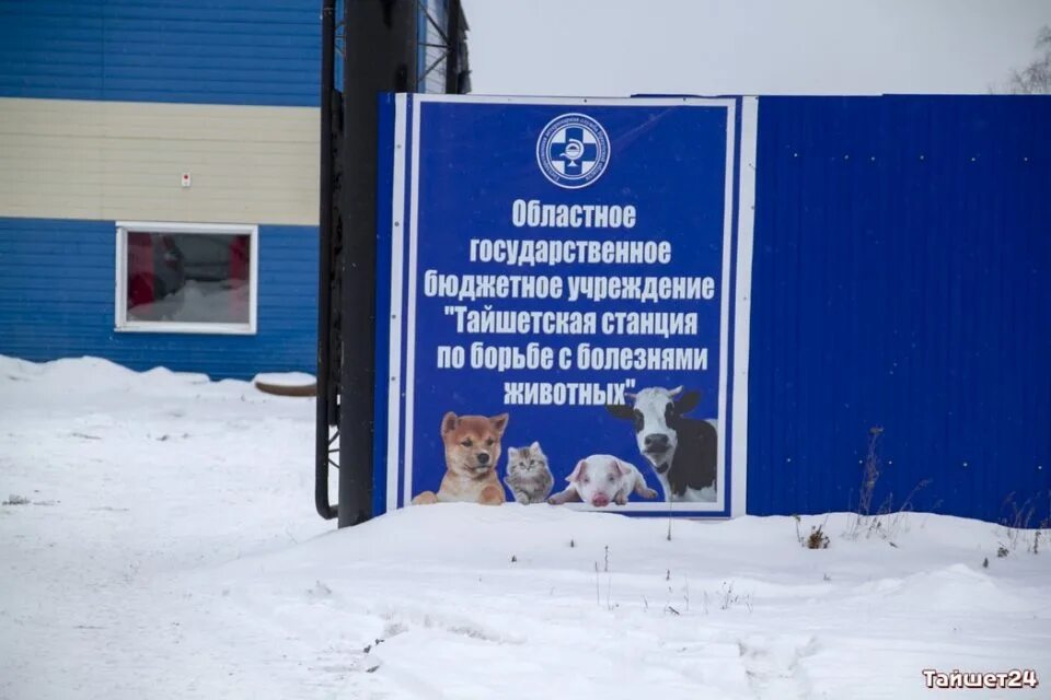 Терветуправление 2 мытищи. Станция по борьбе с болезнями животных. Шуйская ветеринарная станция. Гдовская црб. Шуйская ветеринарная станция.