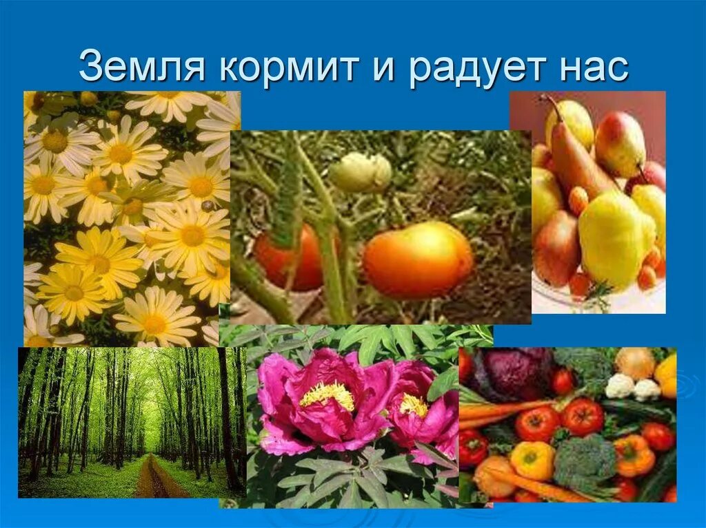 Почему земля кормит