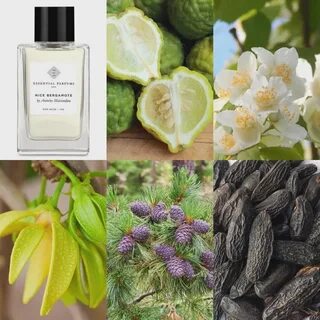 Essential parfums nice