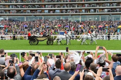 Ascot horse racing