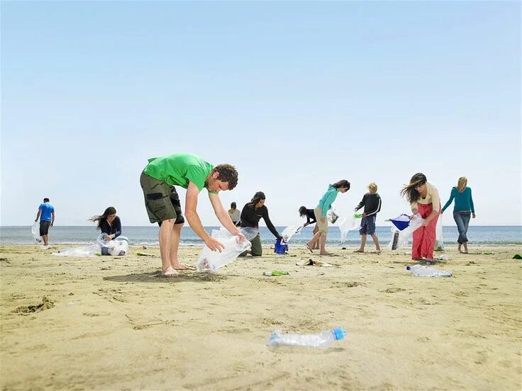 Clean up day. The great clean up. The great clean up. The great clean up. Clean up initiatives.