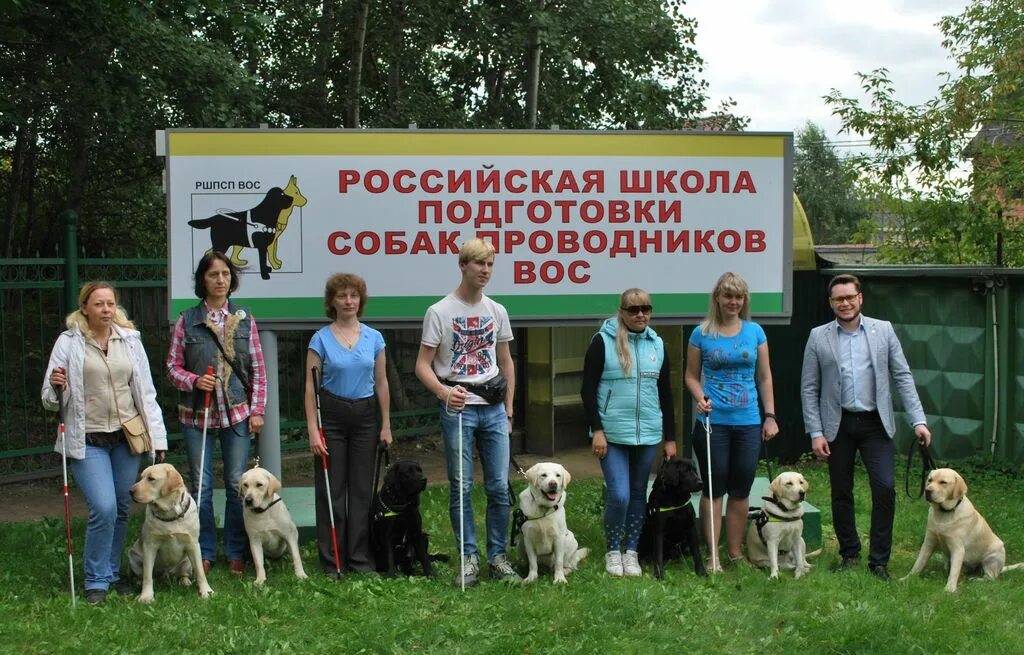 Школа собак проводников