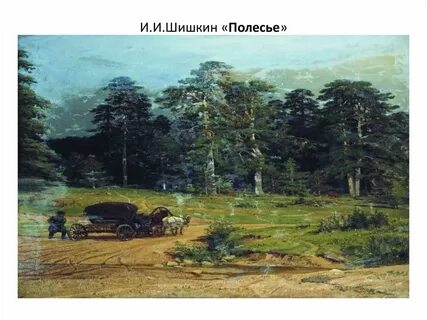 История с шишкиным