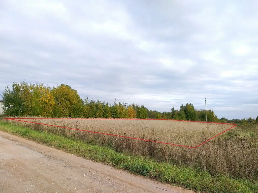 сотка земли. пять соток земельного участка. 40 соток. большое каринское александровский район. 40 соток земли.