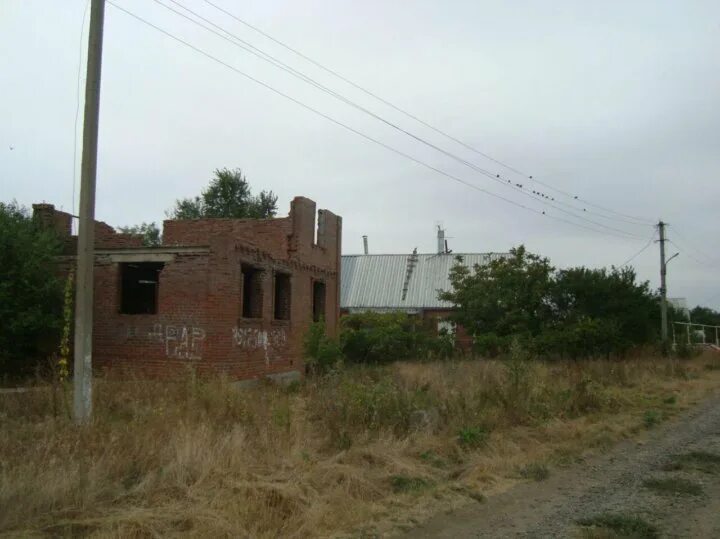 Ст кошкино. Кошкино ростовская область.