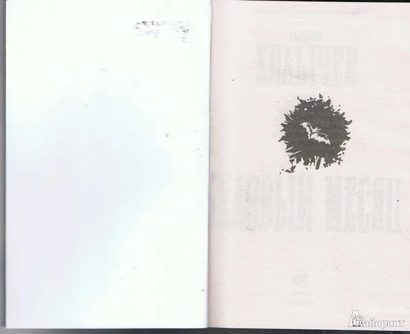 читать бедовый 4