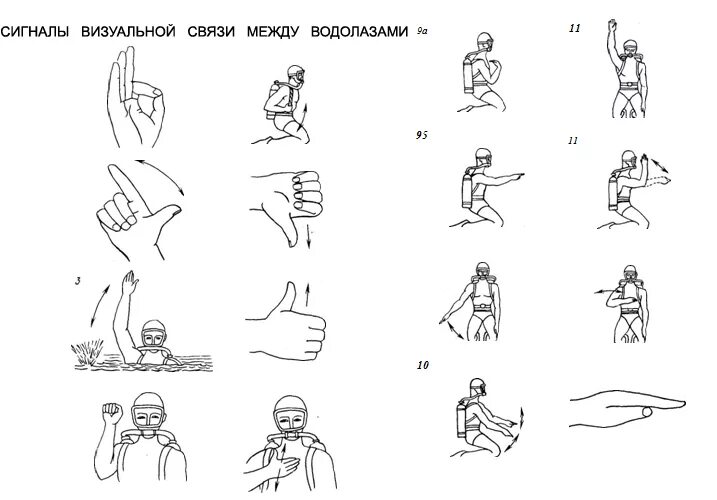 Визуальные сигналы. Таблица условных сигналов водолазов. визуальные водолазные сигналы. визуальные сигналы дайверов. условные визуальные водолазные сигналы.