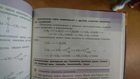 Аминокислоты можно также получить из непредельных углеводородов