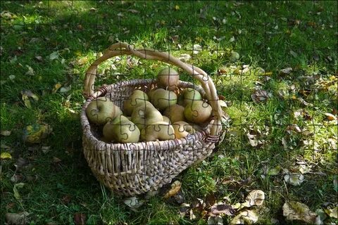Яблоки в ботинках