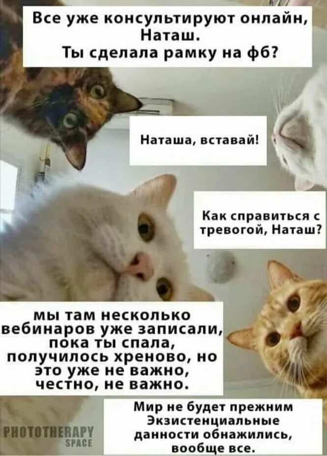 Программа вставай